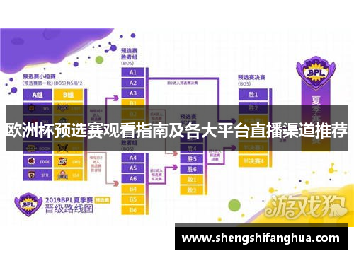 欧洲杯预选赛观看指南及各大平台直播渠道推荐