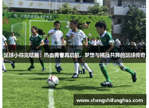 足球小将完结篇：热血青春再启航，梦想与挑战共舞的足球传奇